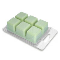 [3723-01] Wax Melt Forms-6 Well Bulk Case of 600